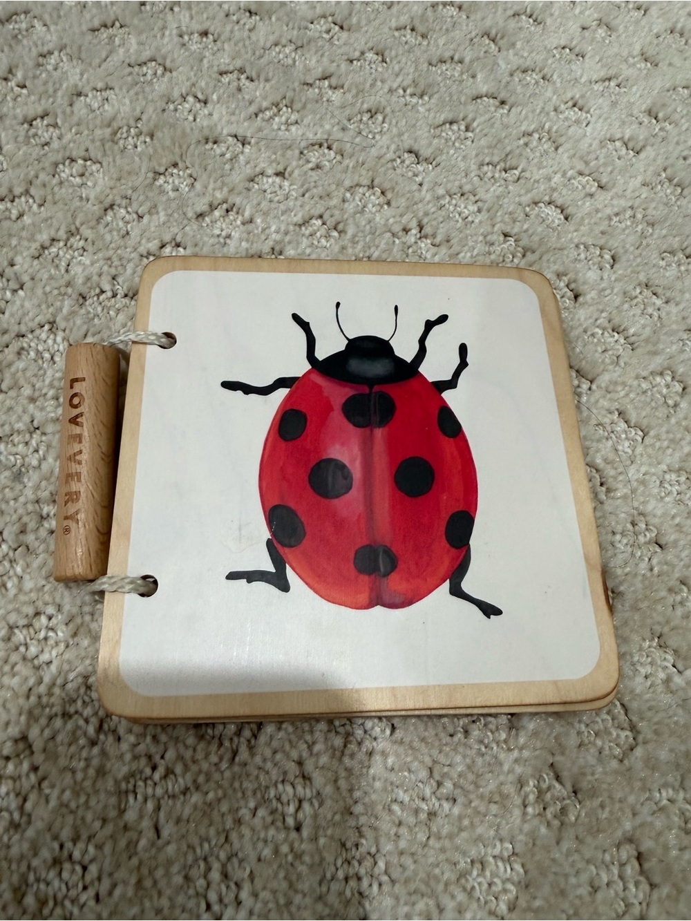 Wooden Baby Book